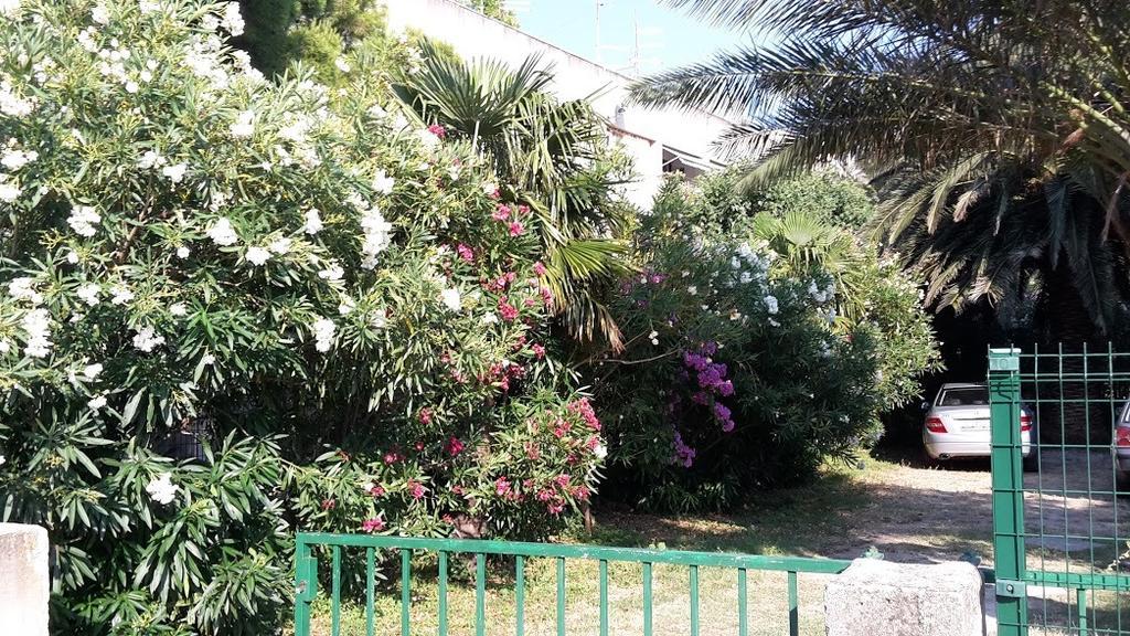 Sabina Apartments Omis Ruang foto