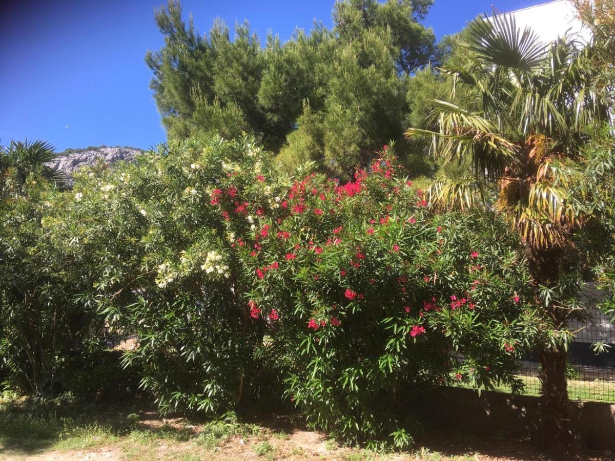 Sabina Apartments Omis Bagian luar foto